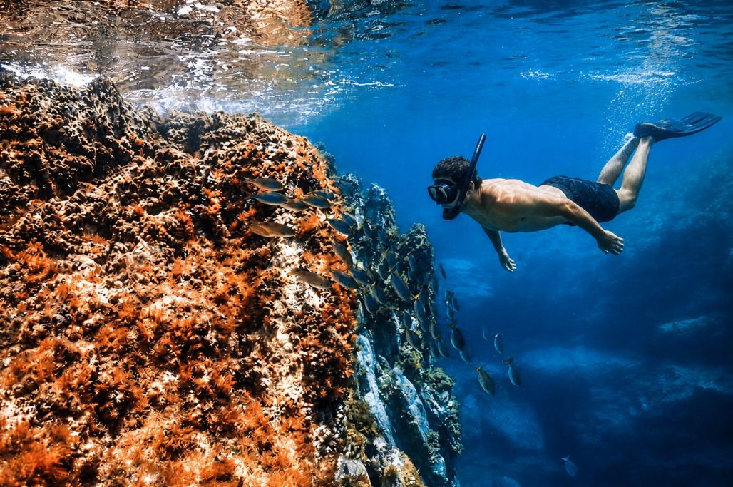 Banyista amb snorkel explorant el fons marí del Cap de Creus