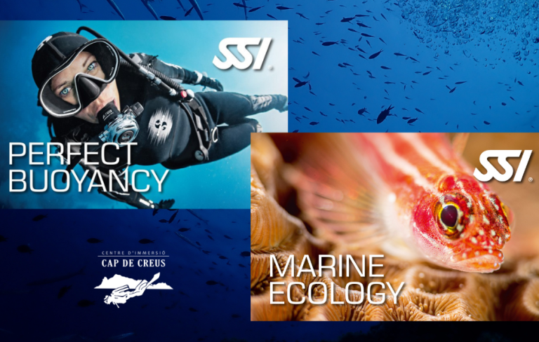 PERFECT BUOYANCY + MARINE ECOLOGY