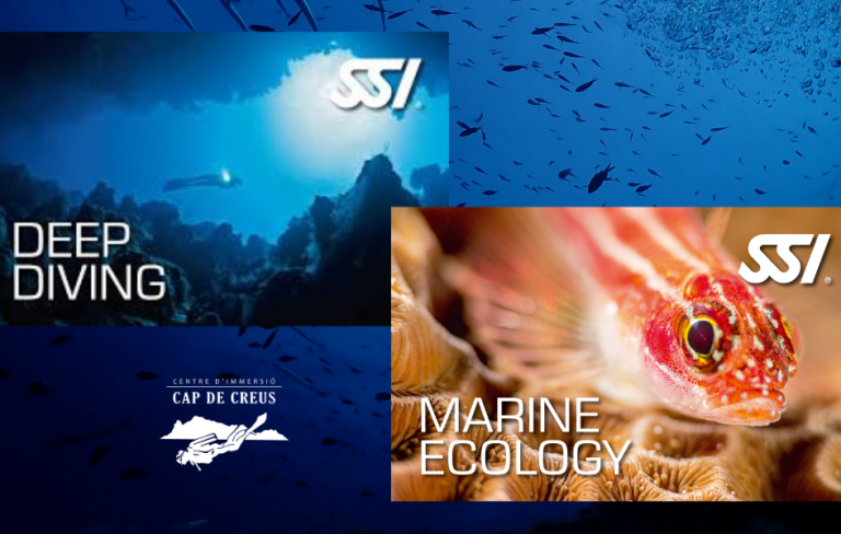 DEEP DIVING + MARINE ECOLOGY