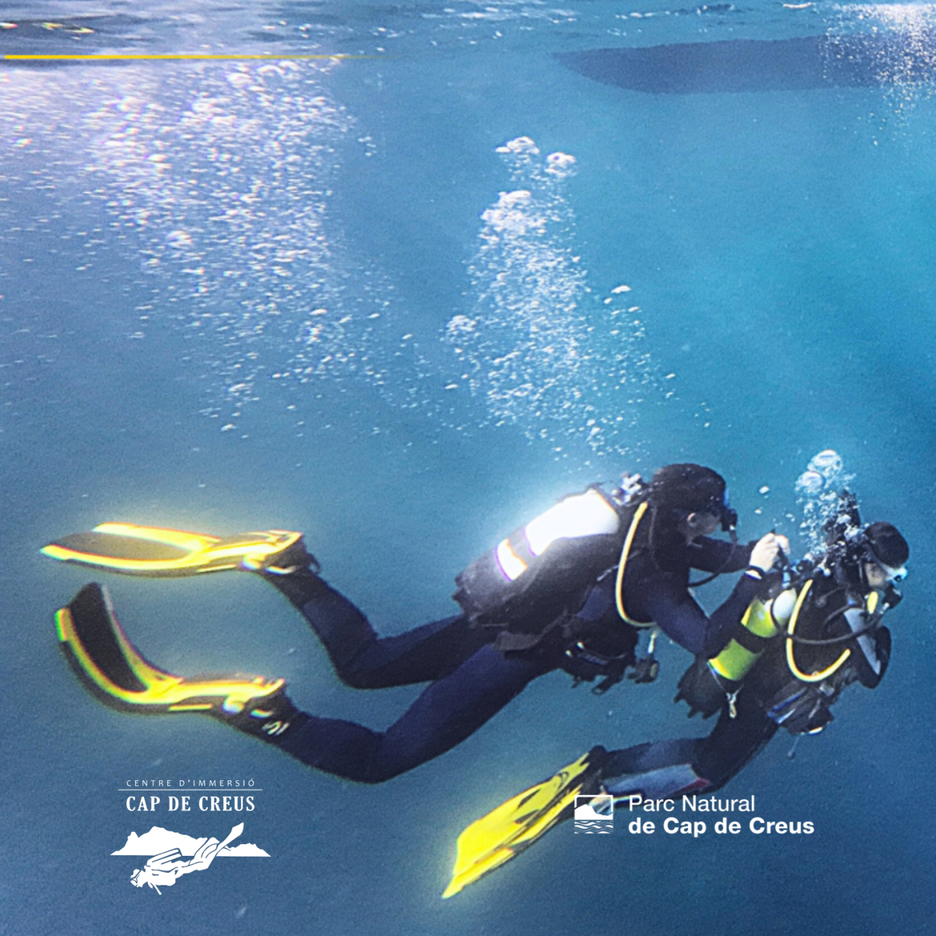 Bateig de Submarinisme al Parc Natural del Cap de Creus