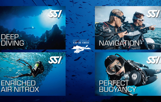 DEEP + NAVIGATION + PERFECT BUOYANCY + NITROX