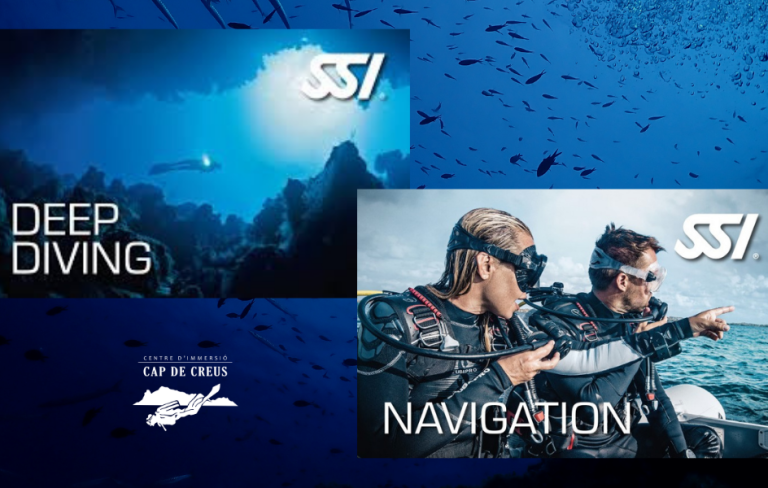 DEEP DIVING + MARINE ECOLOGY