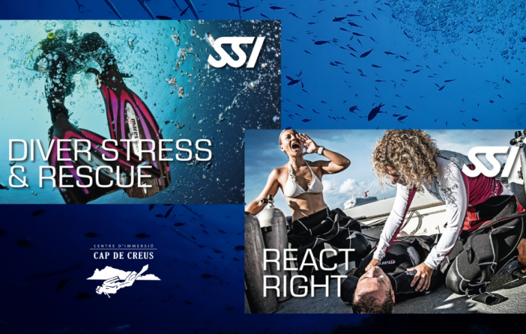 STRESS & RESCUE + REACT RIGHT