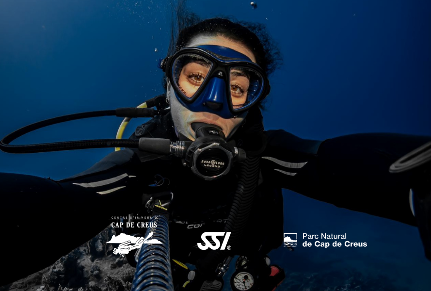 Dive Guide